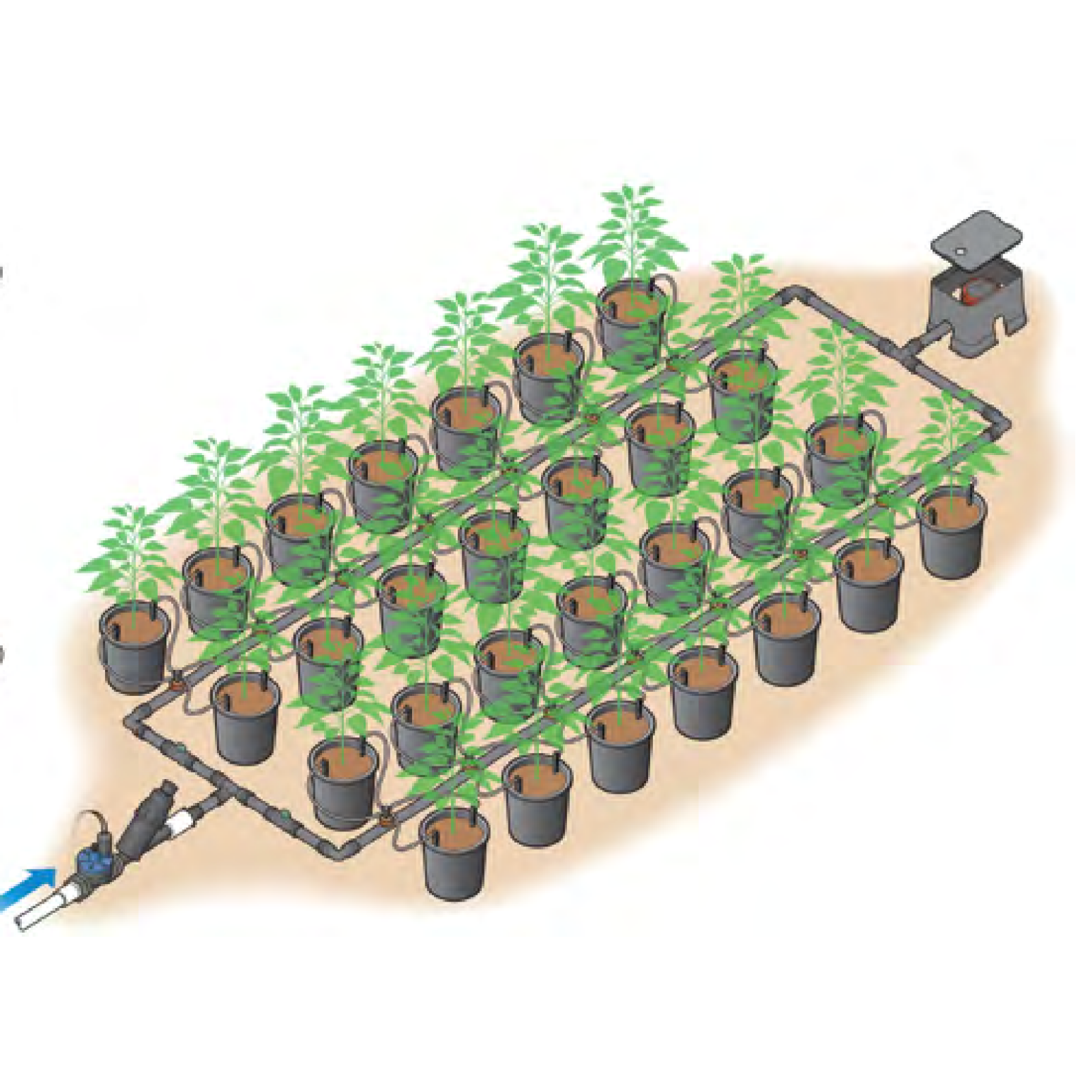 AvidWater Irrigation Design Construction